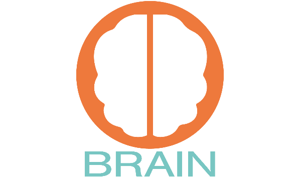 brain