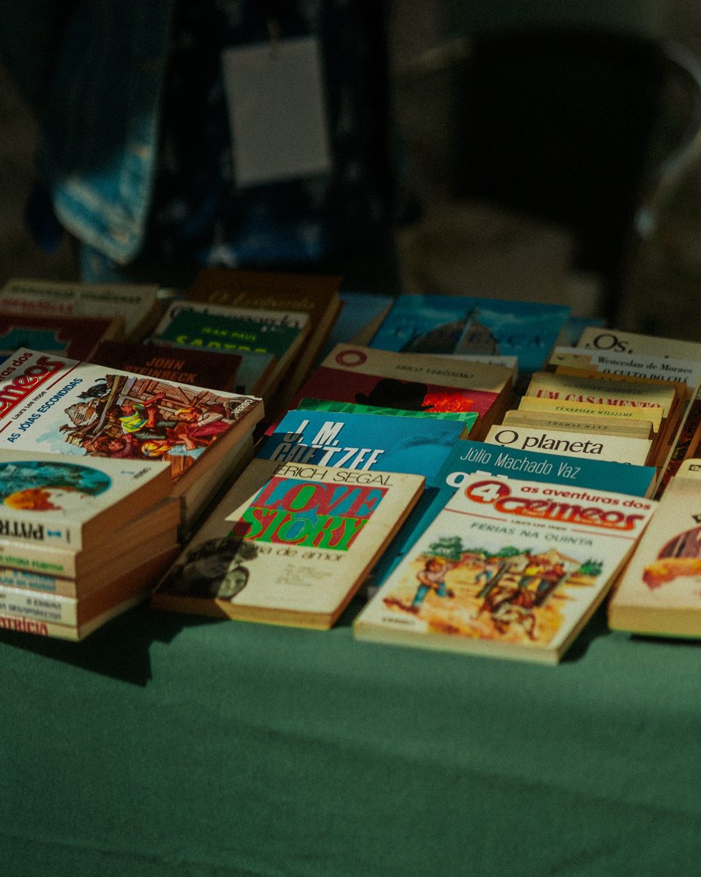 Arraial Casa do Artista 2024_Fotos de Rafael&Rafela (direitos de autor)28