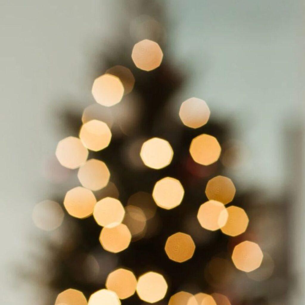 Programa de Natal